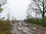 SHMÚ upozorňuje na hmlu počas utorkového dopoludnia