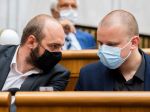 Polícia na proteste zadržala poslanca Medveckého. Mikulec vysvetlil, prečo k tomu došlo