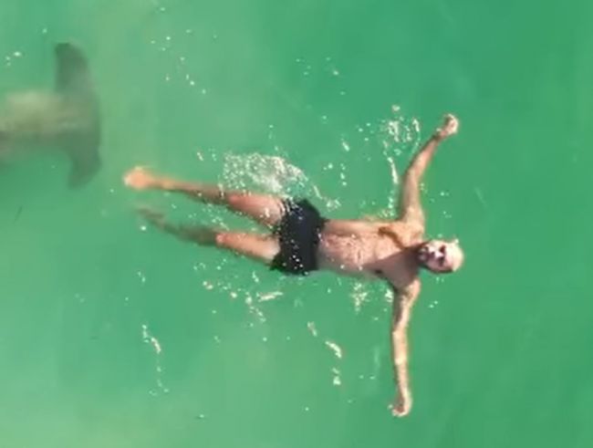 Video: Plavec nemal tušenia, čo sa pod hladinou deje. Dron ho nedokázal varovať