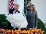Trump pred Dňom vďakyvzdania tradične udelil milosť dvom moriakom