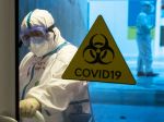 WHO chce urobiť všetko pre objasnenie pôvodu COVID-19
