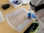 V nedeľu sa pokračuje v testovaní na niektorých školách na Slovensku