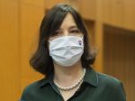 Remišová: Manažovať krízu musí niekto, kto za to ponesie politickú zodpovednosť
