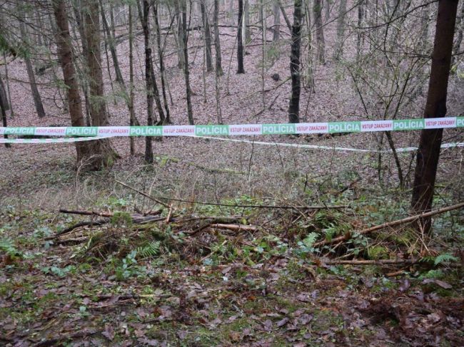 Chladnokrvná vražda: Policajti vypátrali a obvinili muža, ktorý mal zabíjať
