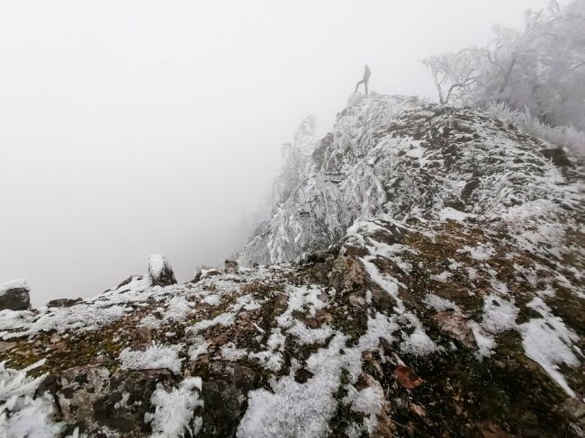 Od piatkového večera môže byť vo viacerých okresoch hmla a poľadovica