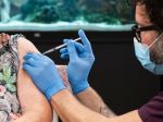 V Rakúsku sa s očkovaním začne v nedeľu, vakcínu dostane najskôr päť osemdesiatnikov