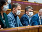 Vláda odmieta byť vtiahnutá do politického zneužívania smrti Lučanského
