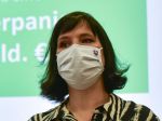 Remišová: Testovanie nie je všeliek, zmysel má v najpostihnutejších okresoch