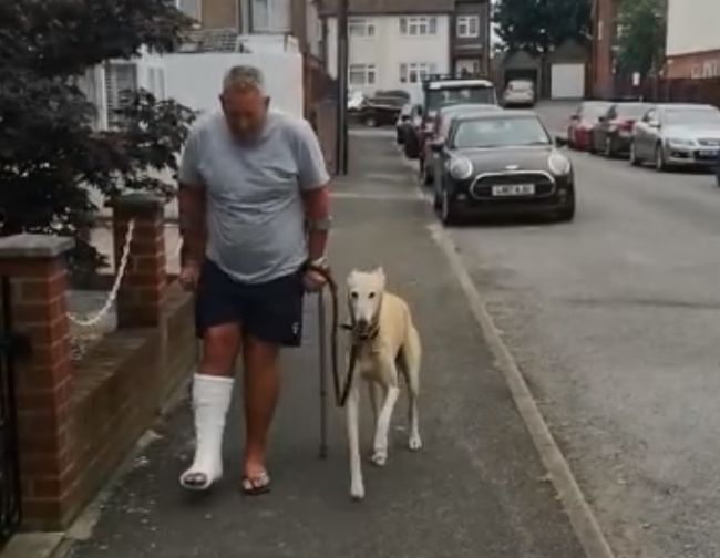 Video: Muž minul množstvo peňazí na veterinára. Potom zistil, prečo jeho zdravý pes kríva
