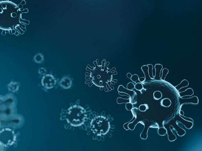 Maďarské laboratórium vypestovalo britskú mutáciu koronavírusu