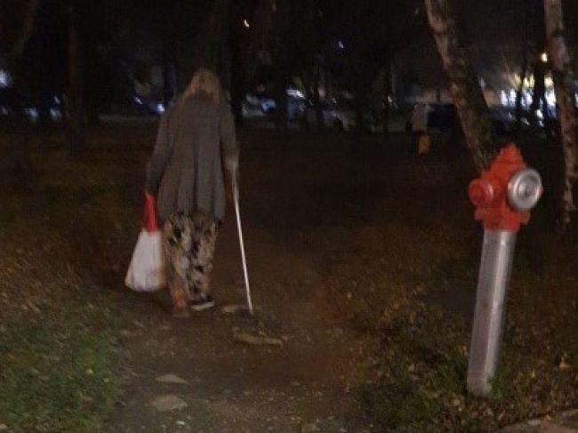 Foto: Polícia pátra po nezvestnej dôchodkyni