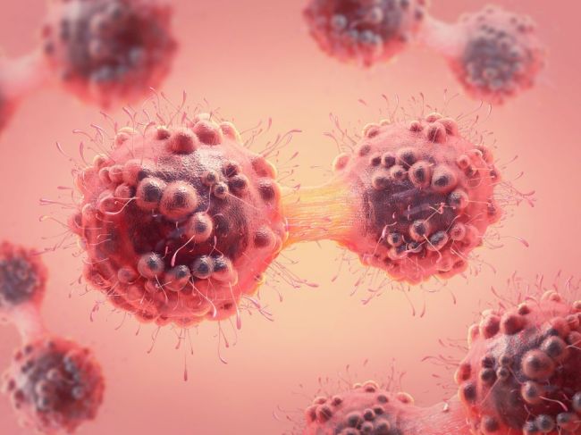100-ročná záhada rakoviny rozlúštená! Vedci odhalili presný mechanizmus delenia buniek