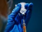 Do Česka príde v sobotu prvá dodávka vakcín od firmy AstraZeneca