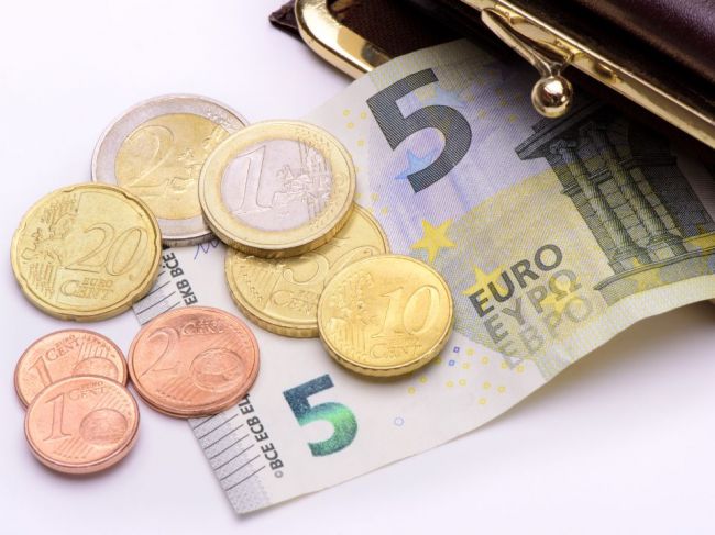 Polovica Slovákov zarobí podľa Profesie mesačne menej ako 830 eur