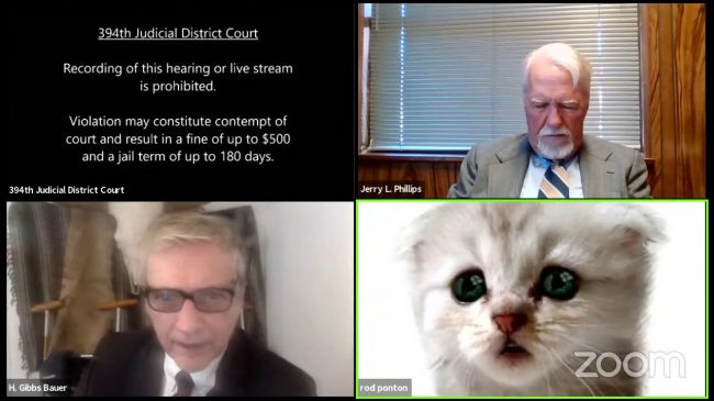 Video: Právnik pobavil celý svet. Na pojednávaní sa zobrazoval ako mačiatko