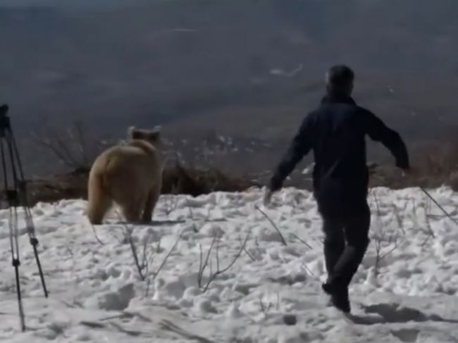 Video: Záchranári vypustili medvede späť do prírody. Všetko sa však zvrhlo na desivú scénu