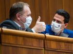 O spore medzi Vašečkom a Bittó Cigánikovou má hovoriť koaličná rada