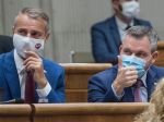 SaS odmieta špekulácie o budúcej spolupráci so stranou Hlas-SD