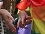 Poľský rezort spravodlivosti navrhol zákaz adopcií pre homosexuálne páry