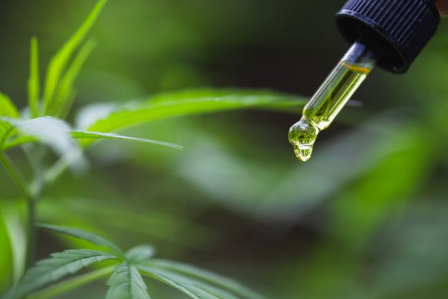Kanabidiol sa vyradí zo zoznamu psychotropných látok