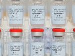 Vakcína od firmy Johnson & Johnson v apríli nakoniec príde do ČR, oznámil Blatný