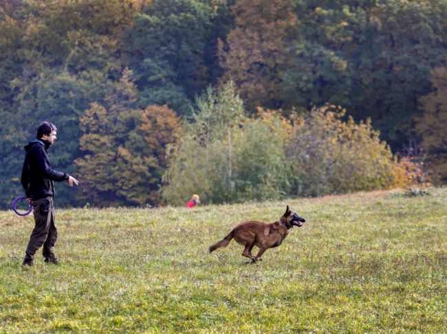Od štvrtka sa menia podmienky pobytu v prírode, zahraničná rekreácia je zakázaná