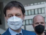 Novú vládu Hegera nepodporili dvaja koaliční poslanci