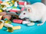 Toto je dôvod, prečo niektoré lieky na rakovinu fungujú na myšiach, no nie na ľuďoch