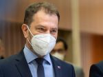 OĽANO malo ku koncu roka 45 členov, snem zatiaľ neplánuje
