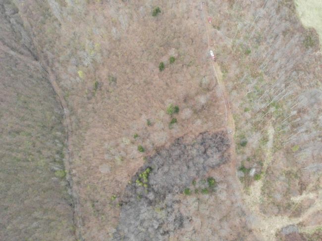 40 hasičov zasahovalo pri požiari trávnatého porastu a lesa