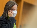 OĽANO spíše nejasnosti v súvislosti s Kolíkovou, informuje aj premiéra