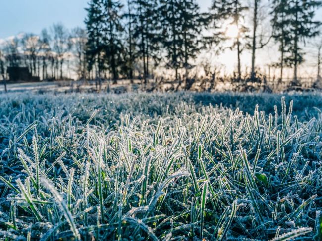 SHMÚ: Na strednom a východnom Slovensku sa môže vyskytnúť prízemný mráz