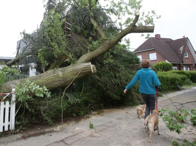 Tornádo v Maďarsku vyvracalo stromy a poškodilo strechy
