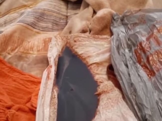 Video: Ženu prebudilo kvapkanie zo stropu, prebudila sa do hotových jatiek