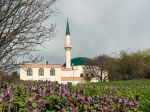 Rakúsko vyvolalo "mapou islamu" pobúrenie