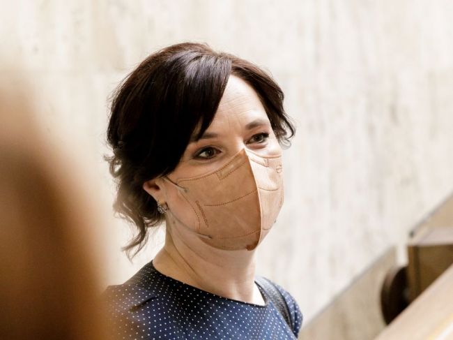 Ledecký: Remišová natvrdo háji osobné záujmy, termín predsedníctva nemáme
