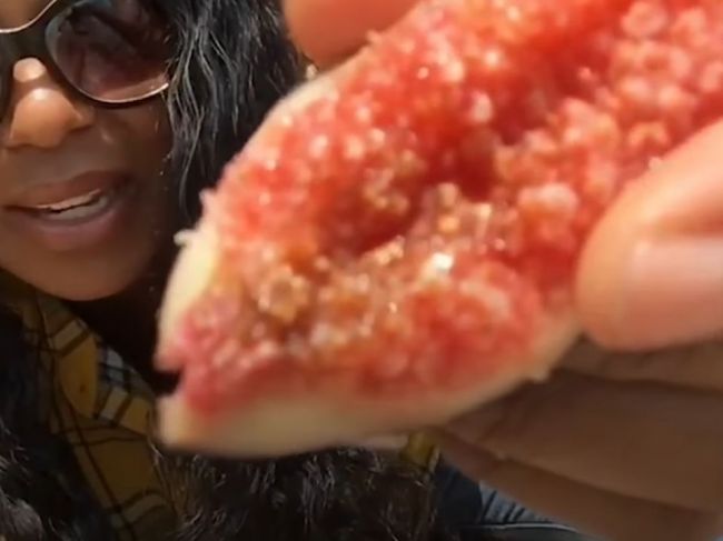 Video: Keď si toto pozriete, už nikdy viac nevložíte figu do úst