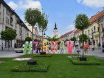 Za nepokosenú trávu môžu ísť Trnavčania zadarmo na kúpalisko