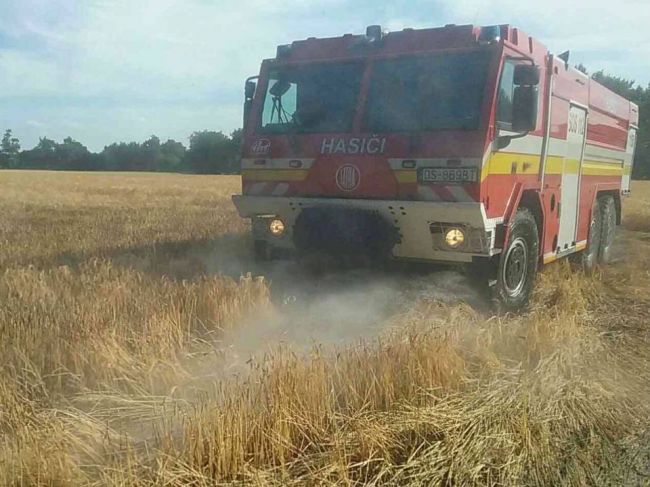 30 hasičov zasahuje pri požiari suchého porastu
