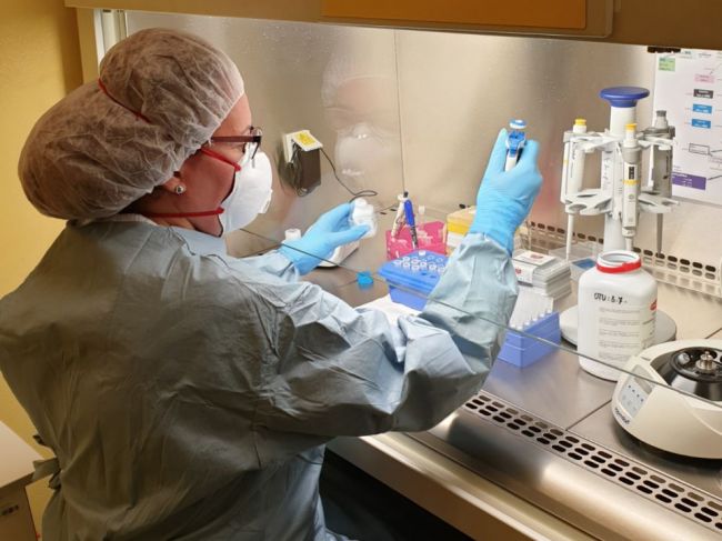 V laboratóriách sekvenujú všetky vzorky pozitívne na nový koronavírus