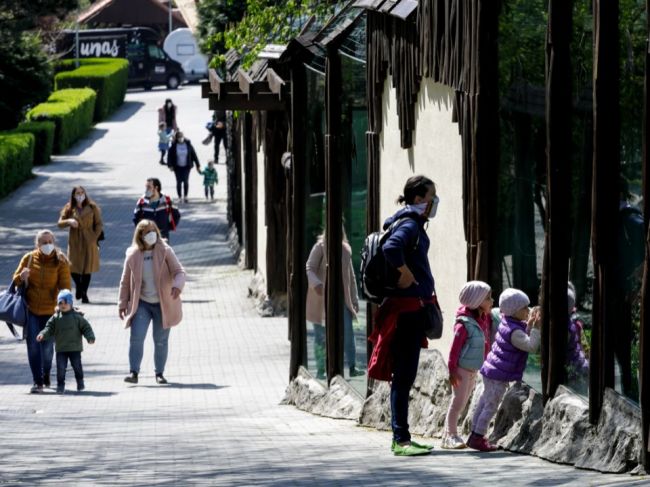 ZOO Bratislava je pripravená pomôcť ZOO Hodonín, zdevastovanej búrkou