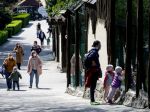 ZOO Bratislava je pripravená pomôcť ZOO Hodonín, zdevastovanej búrkou