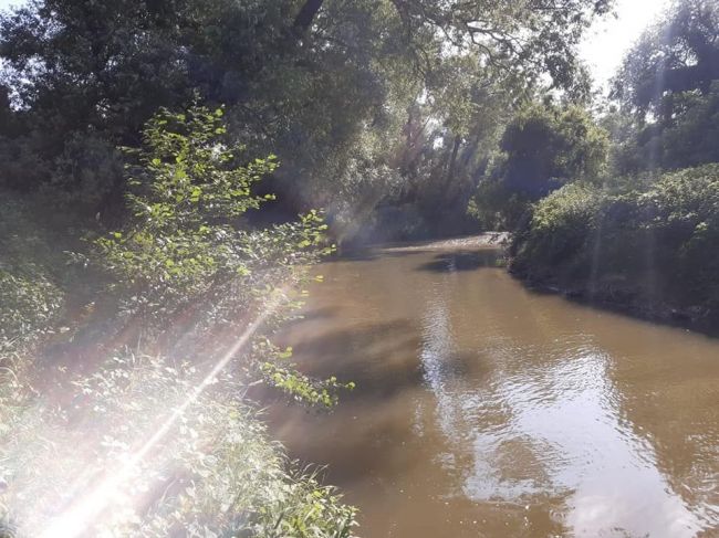 Tretia obeť letného kúpania: V rieke sa utopil len 9-ročný chlapec