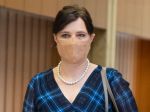 Remišová: Na referende o predčasných voľbách sa nezúčastním