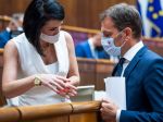 Poslanci SaS za odvolanie Matoviča nezahlasujú, no majú voči nemu výhrady