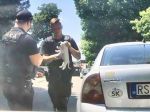 Polícia zachránila rozbitím okna z rozhorúčeného auta psa, prestával reagovať