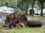Víchrica v Maďarsku poškodila budovy a vyvracala stromy