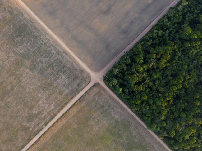 Otepľovanie a odlesňovanie premenili časti Amazónie na zdroj CO2