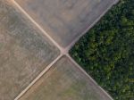 Otepľovanie a odlesňovanie premenili časti Amazónie na zdroj CO2