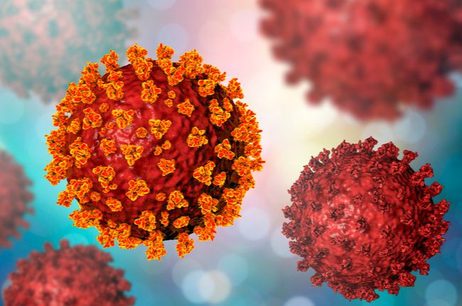 Vedcom sa podarilo zastaviť rozmnožovanie SARS-CoV-2 v ľudských bunkách